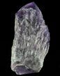 Elestial Amethyst Crystal Point - Brazil #64743-2